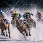 Why Horse Racing Is Not Cruel?