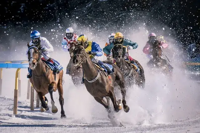 Why horse racing is not cruel? In the snow, there are riders on horses riding their horses.