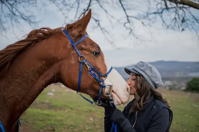 An image of a woman kissing a horse. 