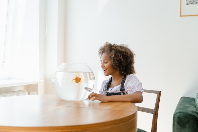 Are fish happy in tanks? Girl Looking at Fish in a Fish Bowl
